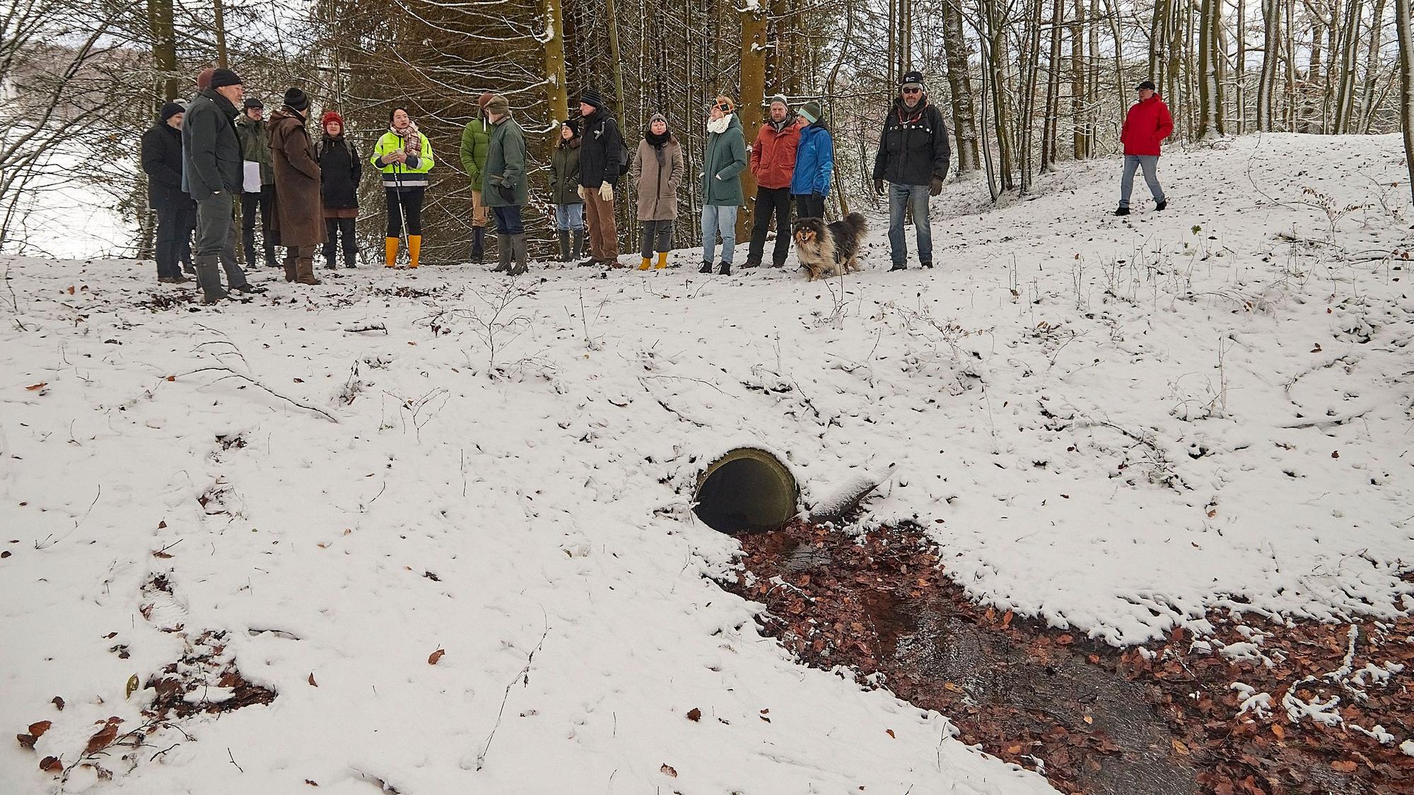 Eine Gruppe Menschen steht bei Hellenthal in einem verschneiten Wald oberhalb eines Baches, der aus einem Betonrohr tritt.