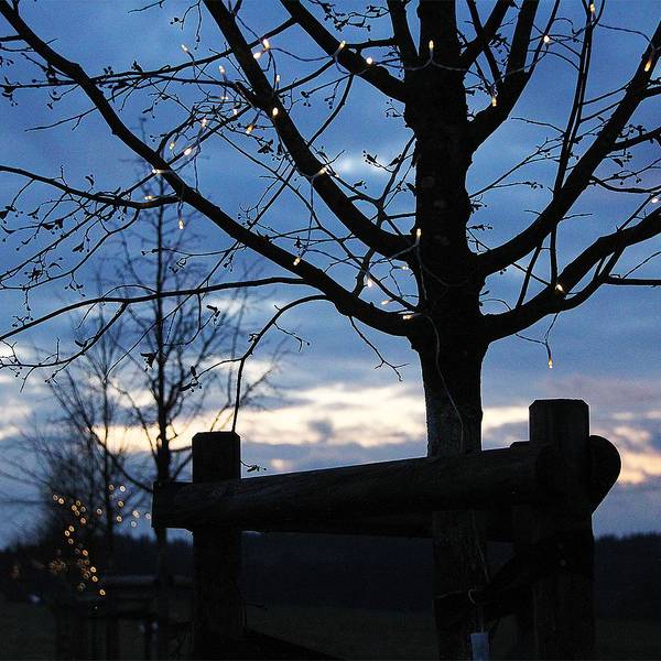 In der Abenddämmerung sind die Lichterketten in den Gedenkbäumen für die Opfer der Flutkatastrophe in NRW zu erkennen.