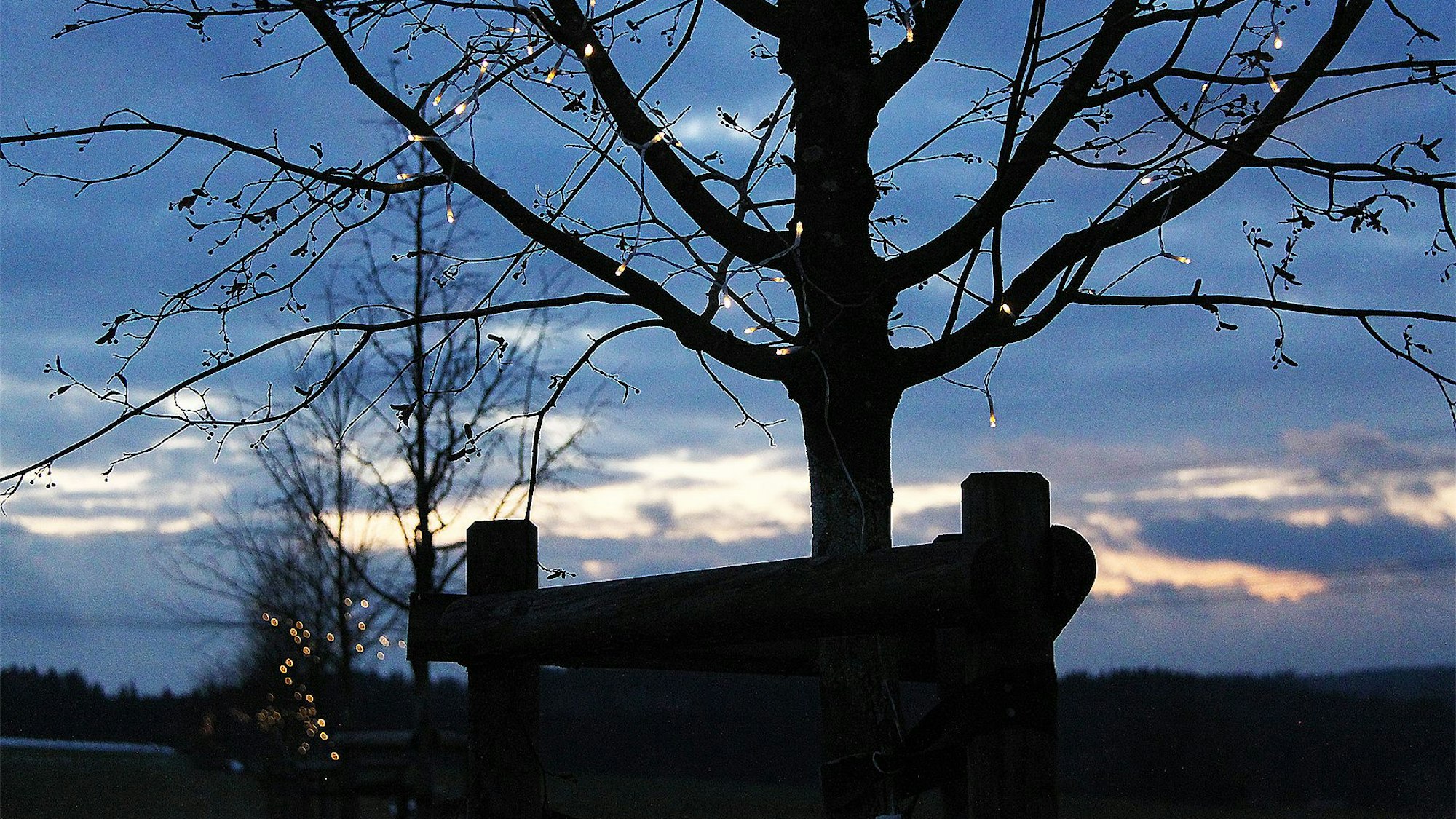 In der Abenddämmerung sind die Lichterketten in den Gedenkbäumen für die Opfer der Flutkatastrophe in NRW zu erkennen.