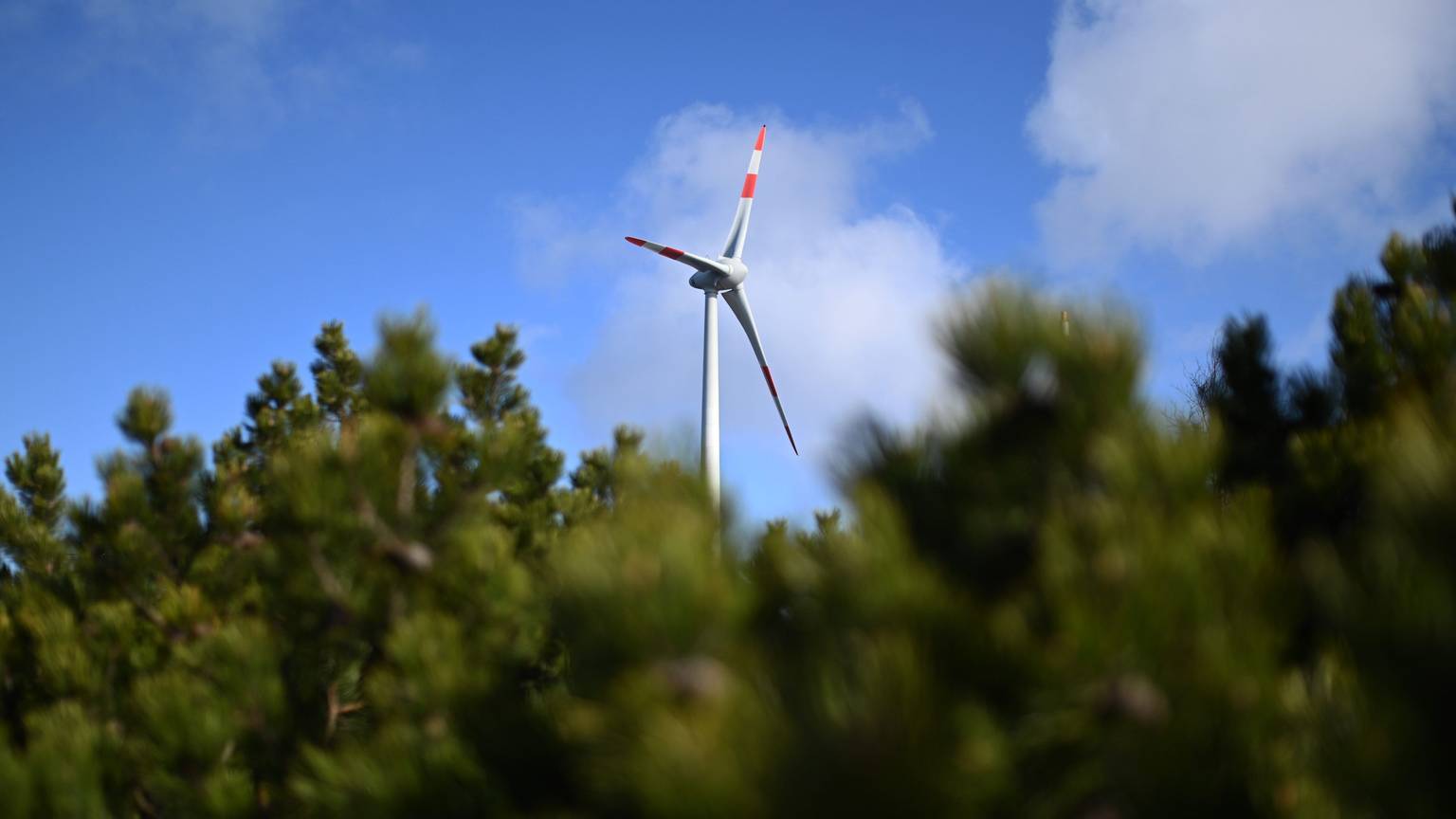Wie hier im Nordschwarzwald sollen Windräder in Bonn die Bäume deutlich überragen.
