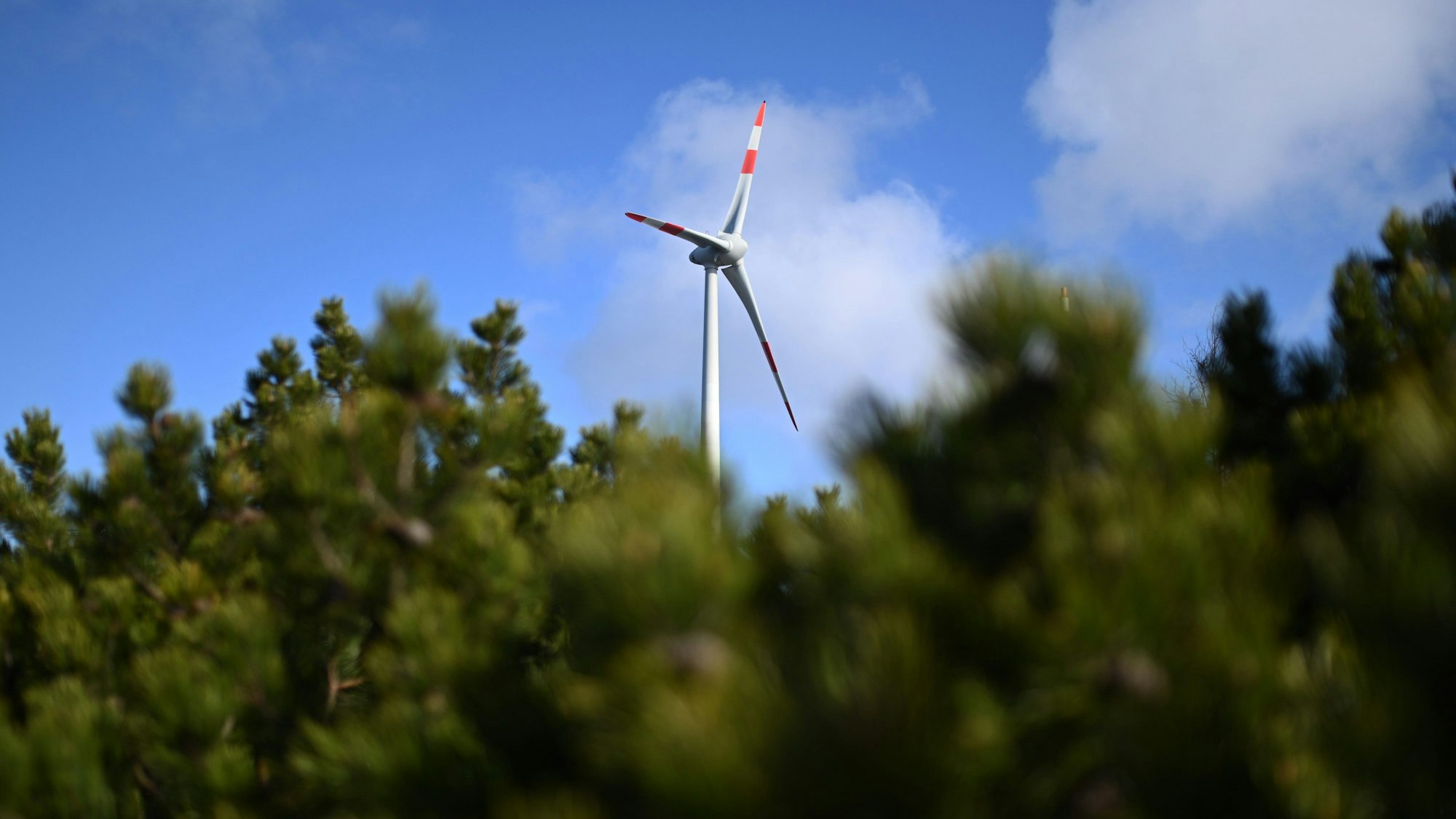 Wie hier im Nordschwarzwald sollen Windräder in Bonn die Bäume deutlich überragen.