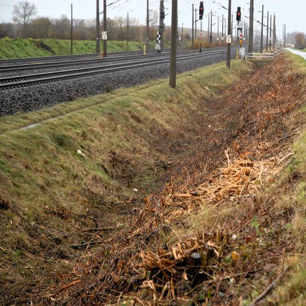 Die Entwässerungsrinne eines Bahndamms.