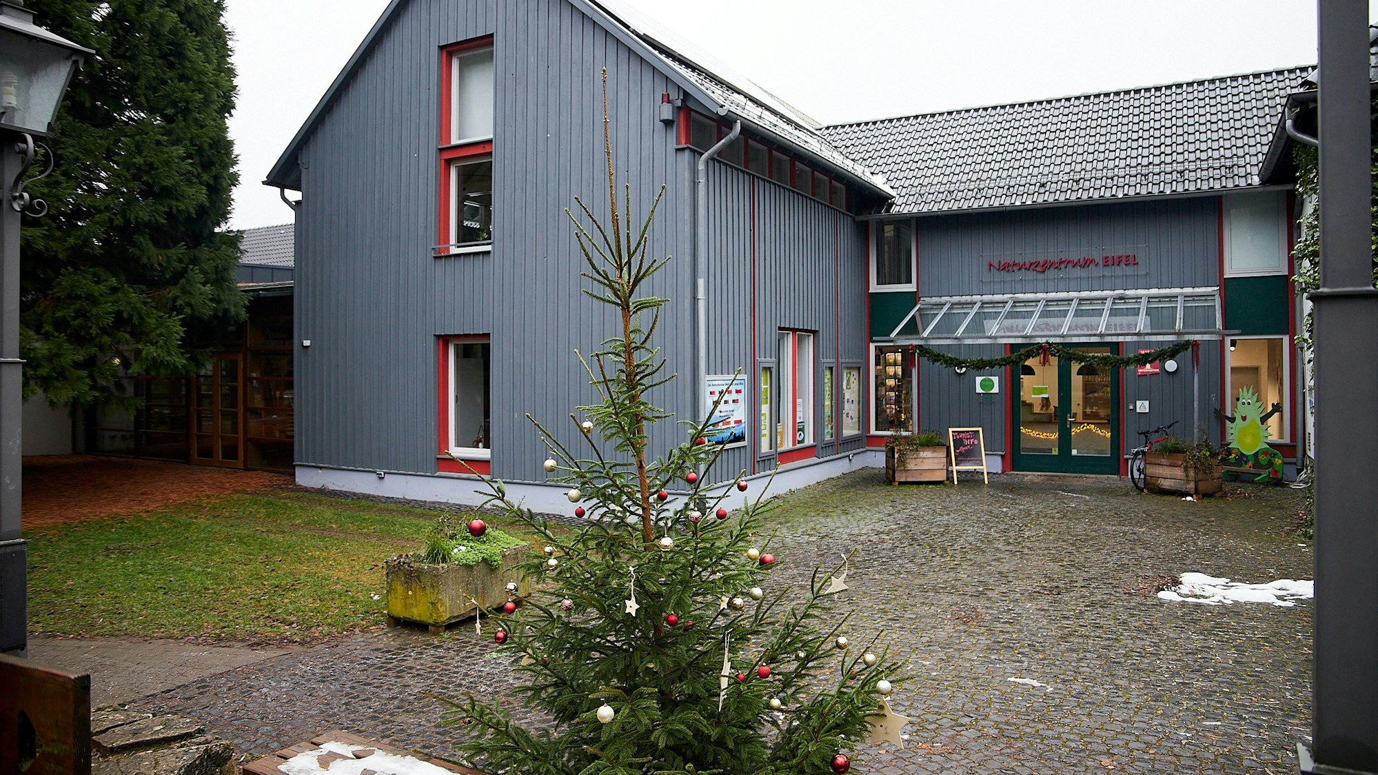 Das Naturzentrum in Nettersheim, vor dem ein Weihnachtsbaum steht, ist nach der Flut saniert worden und seit wenigen Wochen wieder geöffnet.