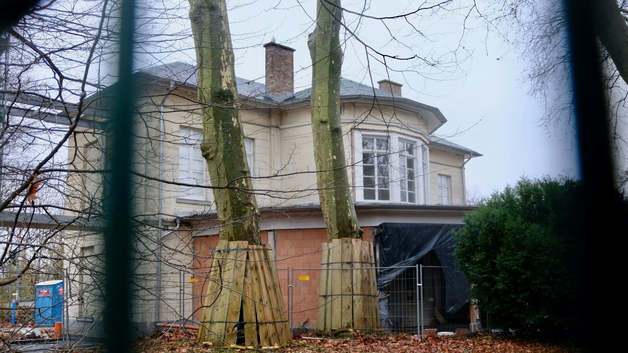 Blick auf ein Gebäude, vor dem zwei hohe Bäume stehen.