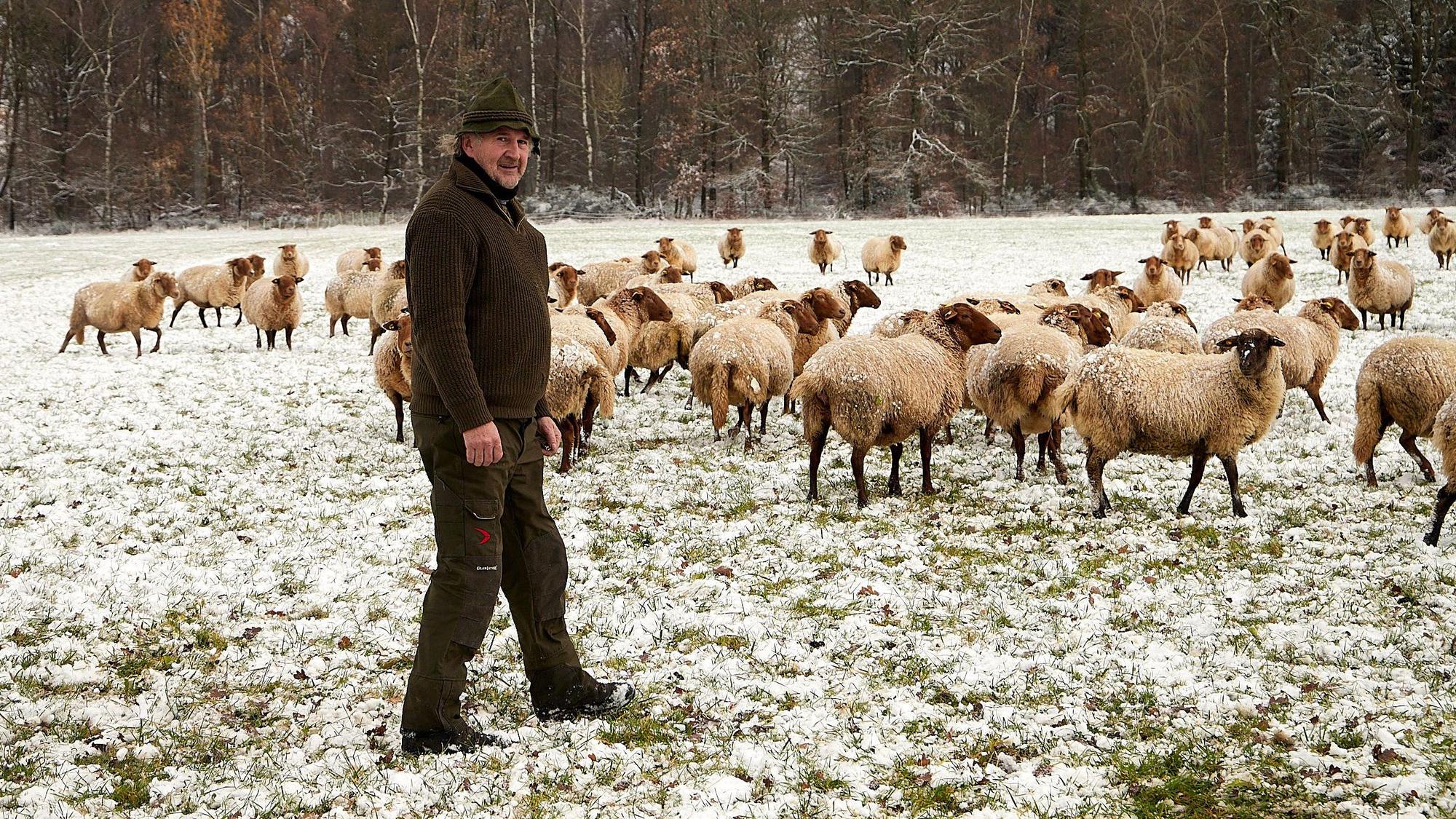 Schäfer Georg Bungart steht mit einer Herde Schafe auf einer verschneiten Wiese