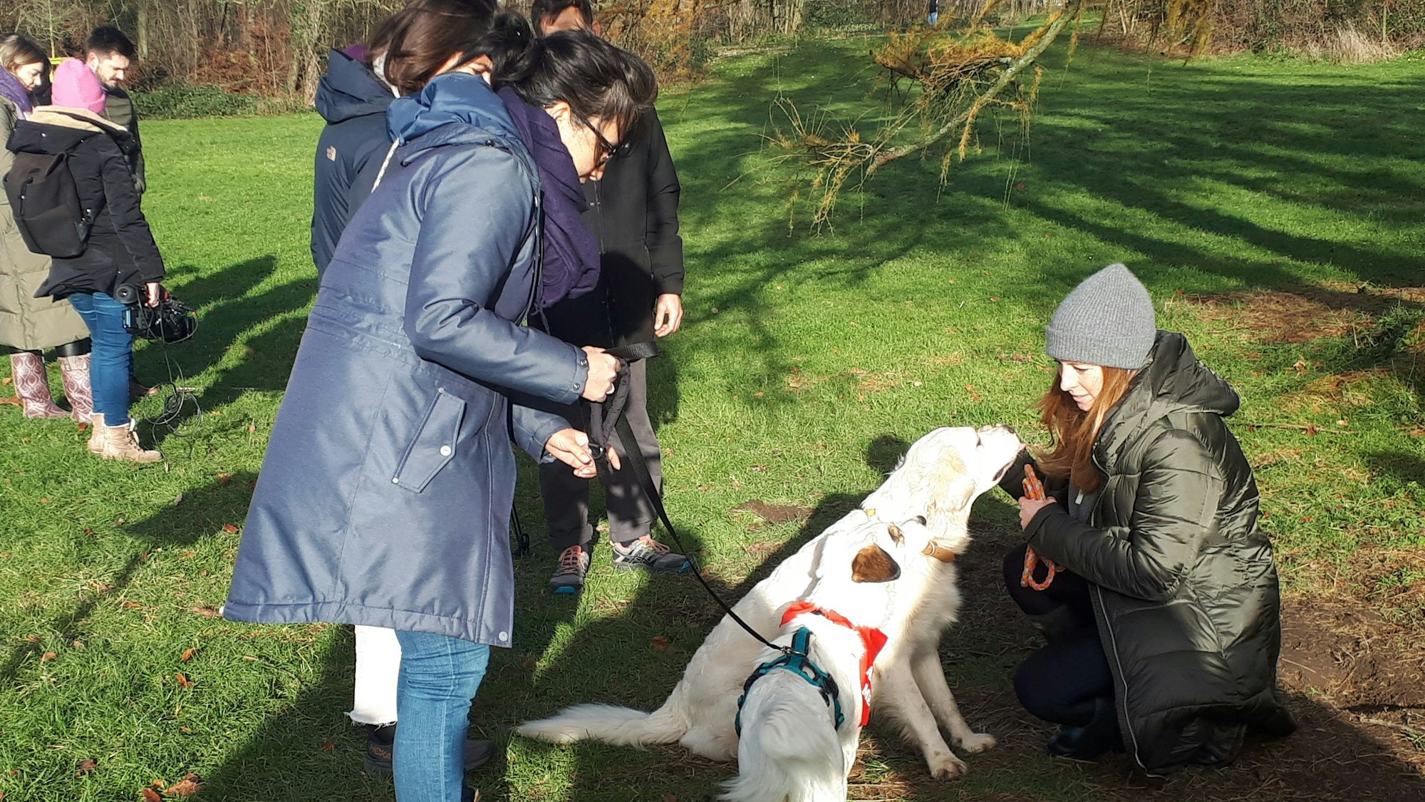 Eine Frau hat einen kleinen Hund an der Leine, eine andere hockt am Boden vor einem mittelgroßen weißen Hund.