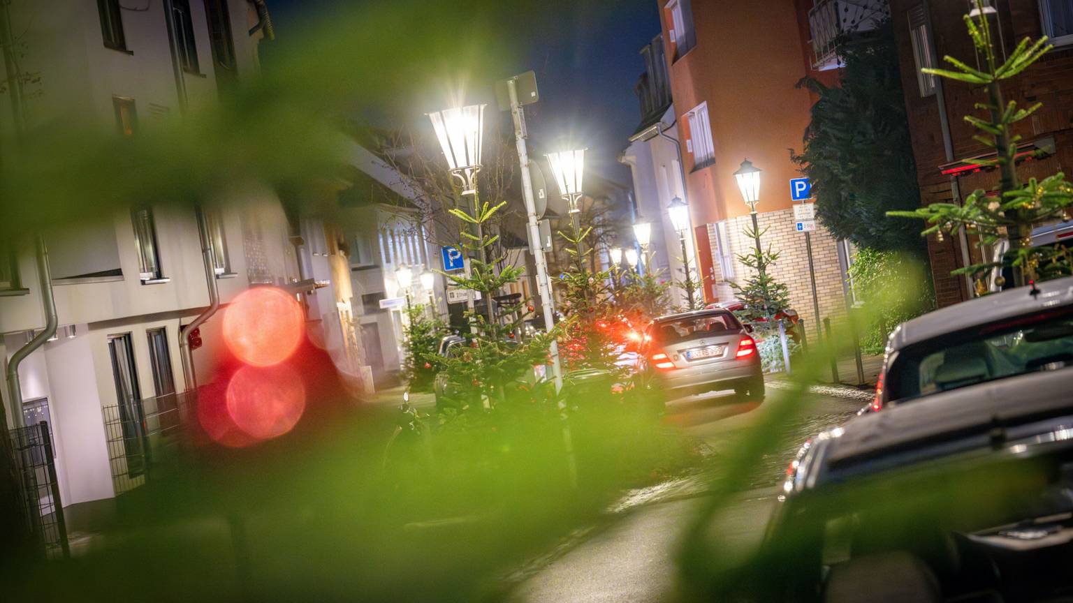 Weihnachtsbäume in der Lengsdorfer Hauptstraße
