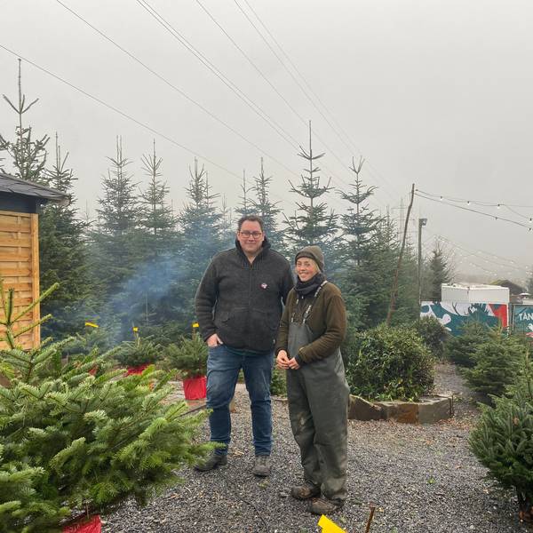 „Ä Tännschen please“ in Burscheid: Christian Hoffmann (Organisator Weihnachtsmarkt) und Regina Coßmann (Mitarbeiterin Baumschule Mütherich).