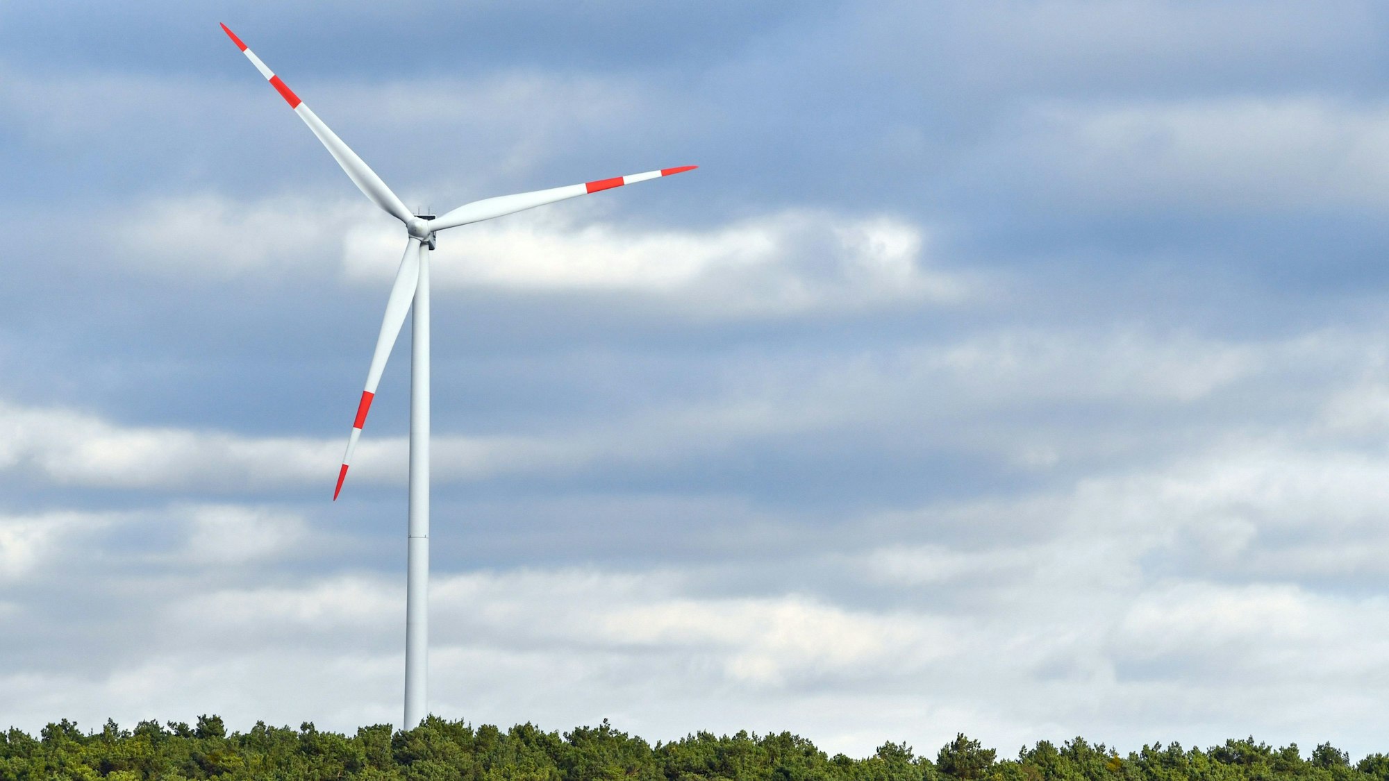 Eine Windenergieanlage steht in einem Wald