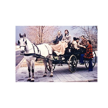 Männer und Frauen sitzen auf einer Kutsche, vor die ein Pferd gespannt ist.