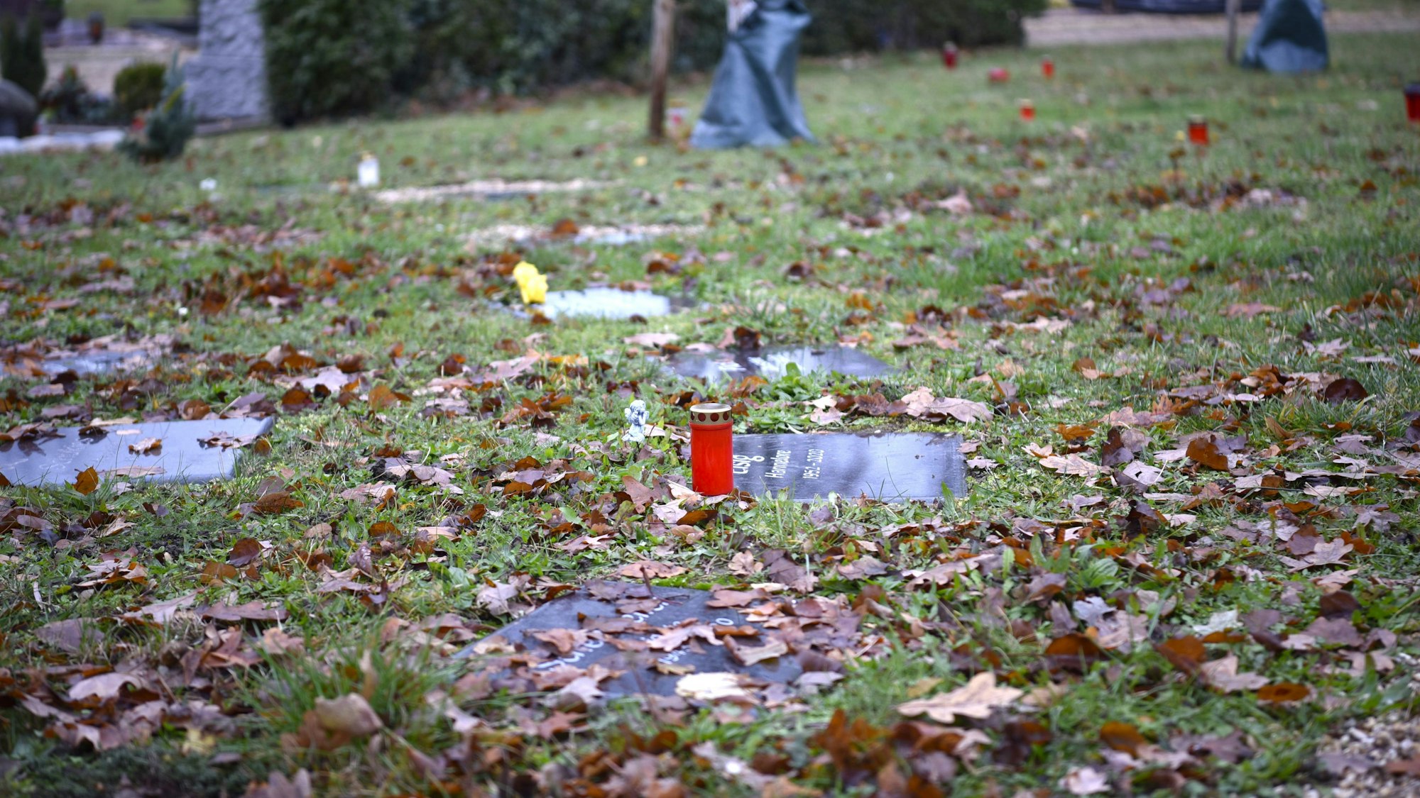 Auf einer Wiese liegen Grabplatten im Kreis. Welkes Laub liegt darüber. An einer Grabplatte steht eine rote Friedhofskerze.