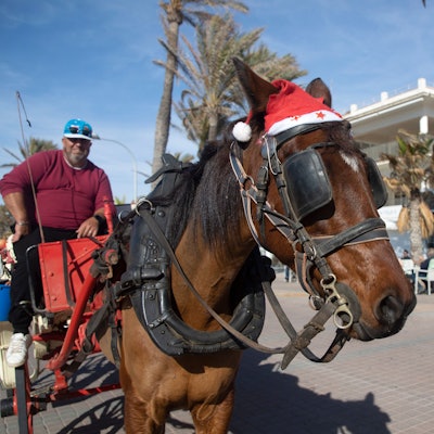 Ein Pferd mit einer Weihnachtsmannmütze steht neben einem Restaurant am Strand von Arenal an einem sonnigen Tag mit einem Temperaturrekord von 24 Grad im Monat Dezember.