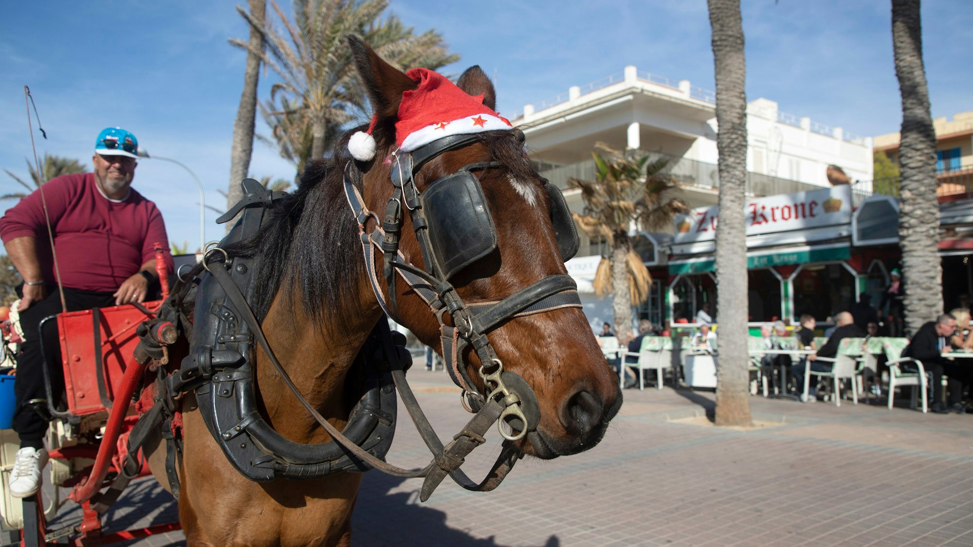 Ein Pferd mit einer Weihnachtsmannmütze steht neben einem Restaurant am Strand von Arenal an einem sonnigen Tag mit einem Temperaturrekord von 24 Grad im Monat Dezember.