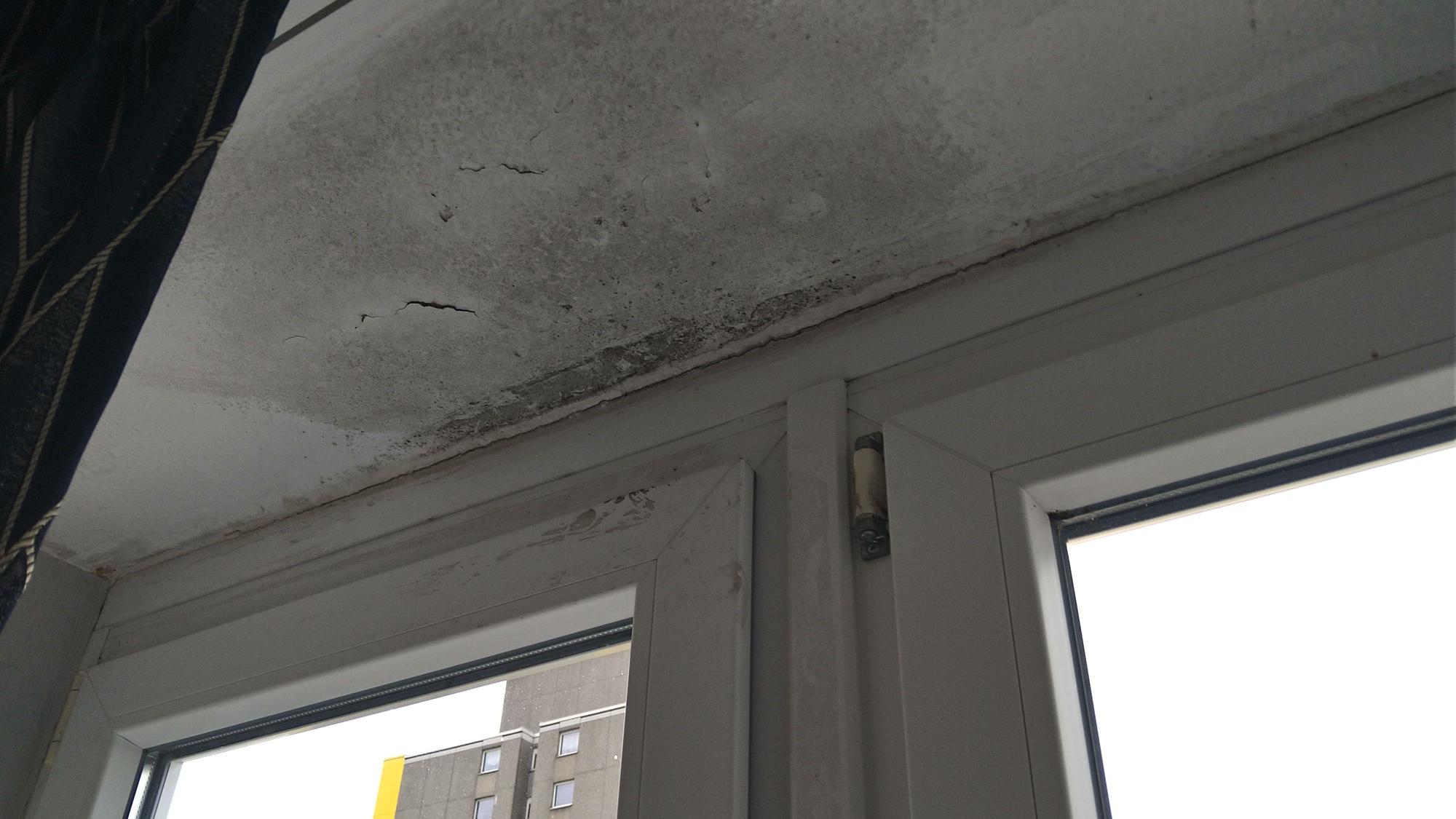 Die Wohnung von Familie Omari ist stark von Schimmel befallen.