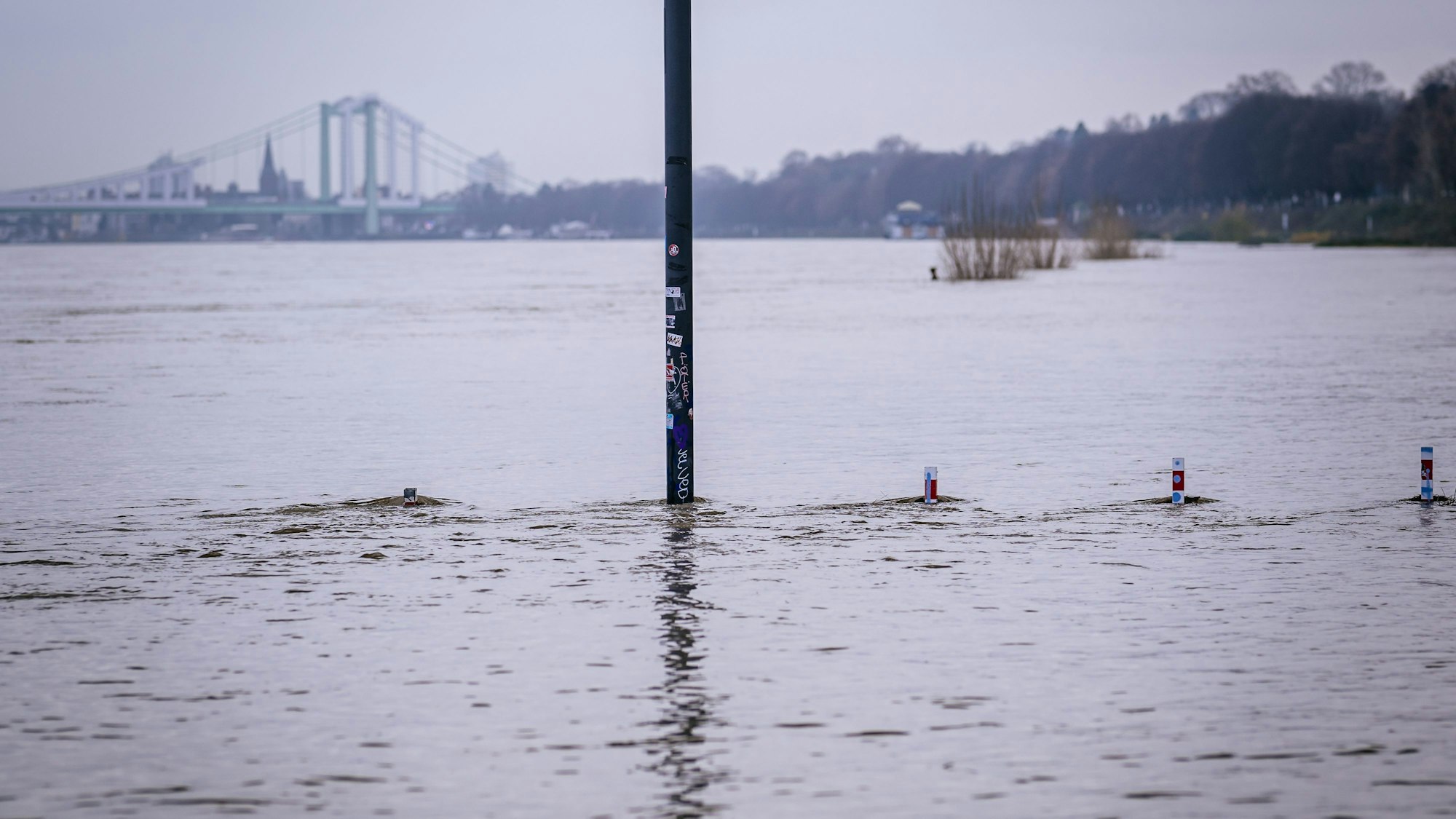 Die Uferwege in Bayenthal stehen unter Wasser.