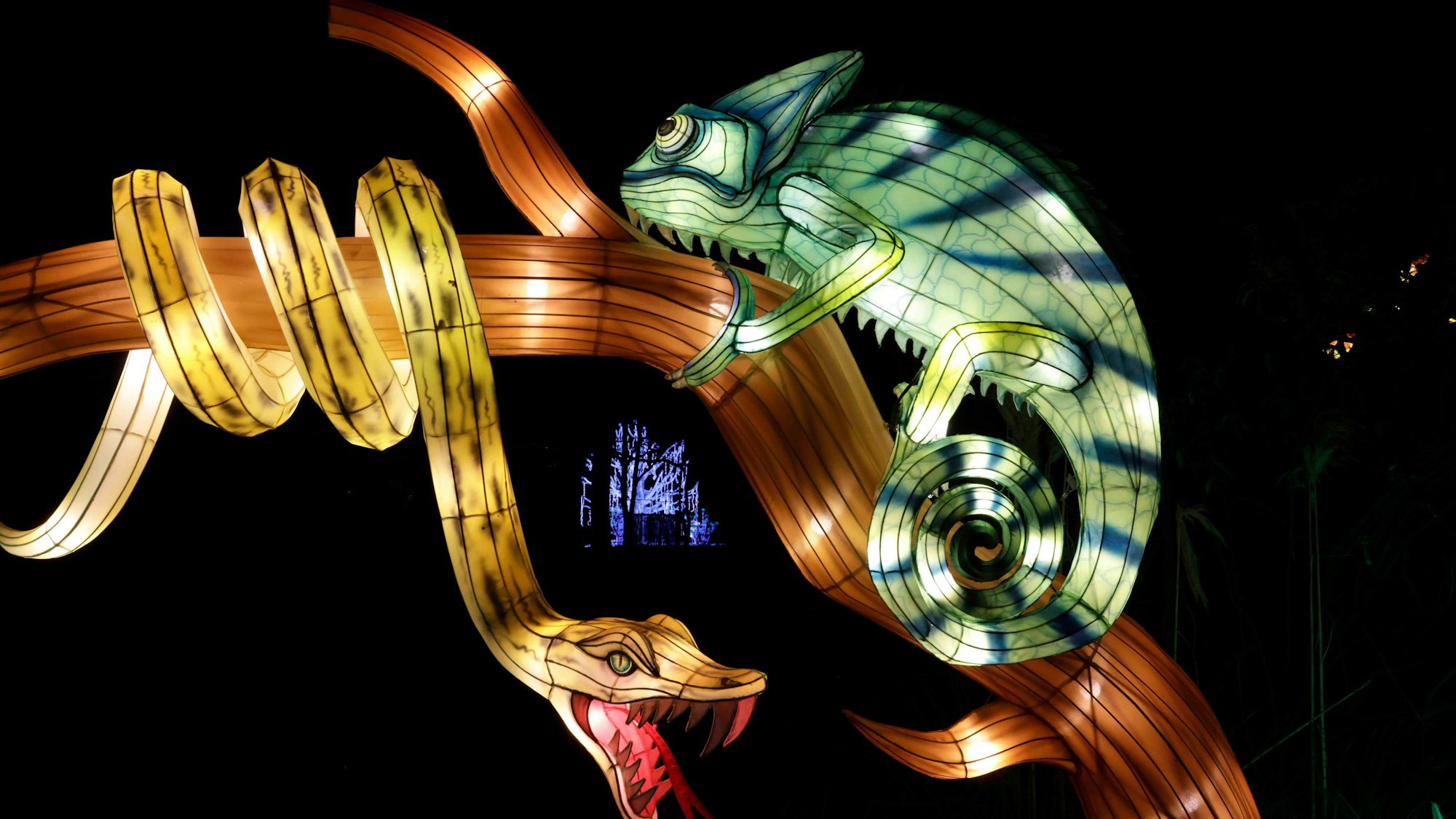Ein Chamäleon und eine Schlange beim City Lights Festival.