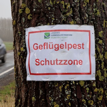 In der Nähe eines Putenmastbetriebes in der Gemeinde Lewitzrand, der in diesem Jahr bereits zwei Mal von einem Vogelgrippe-Ausbruch betroffen war, warnt ein Aushang des Landkreises "Geflügelpest Schutzzone".