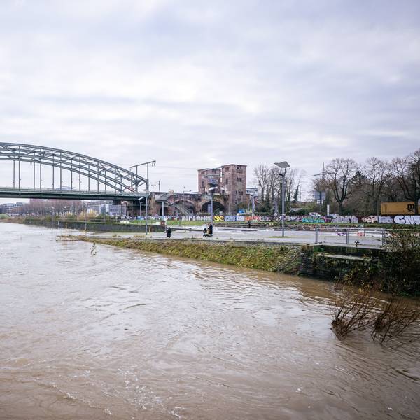 Hochwasser in Köln