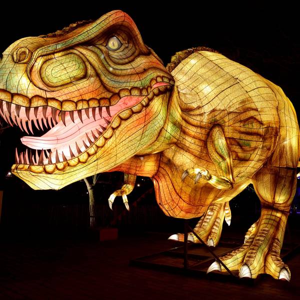 Der Tyrannosaurus Rex begrüßt die Besucher im Kölner Zoo.
