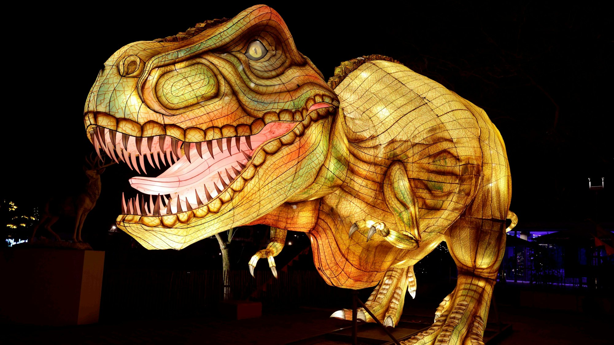 Der Tyrannosaurus Rex begrüßt die Besucher im Kölner Zoo.