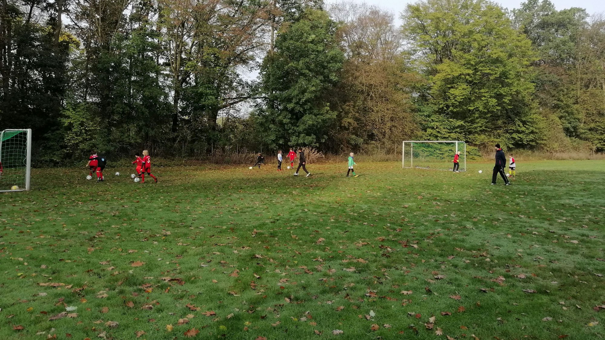 Das Training auf dem zur Verfügung gestellten Platz
