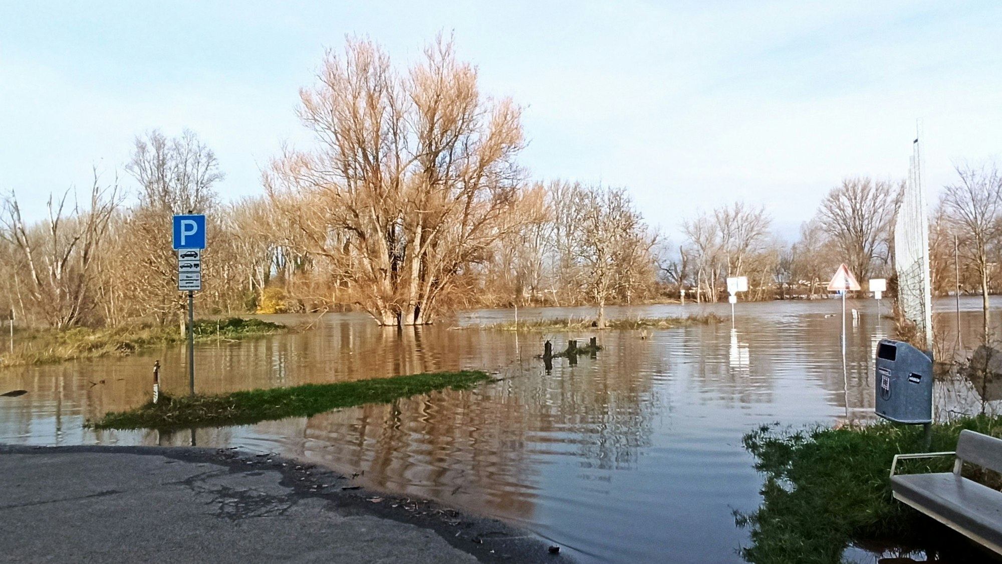 Bei der Höchstmarke von sieben Metern schauten in Hersel Bäume aus dem Wasser.
