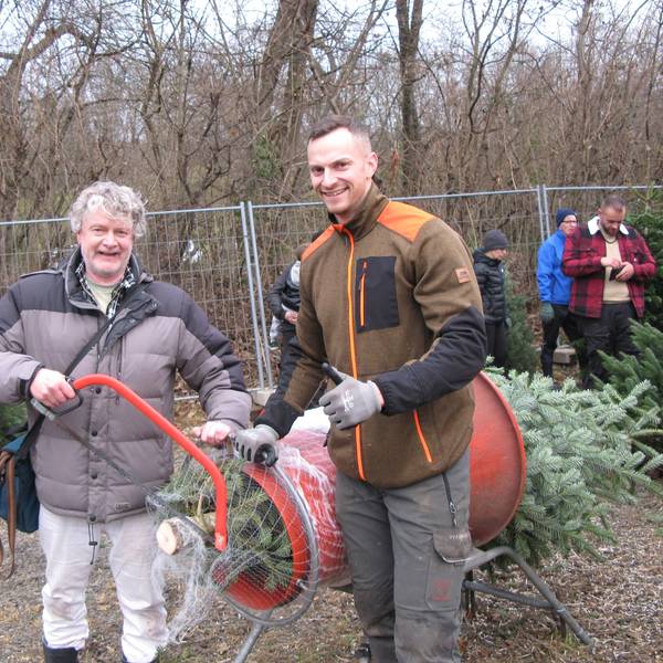 Der Zeitungsreporter mit Säge steht mit dem Weihnachtsbaumverkäufer an der Röhre, in dem der selbst geerntete Christbaum zum Einnetzen steckt.
