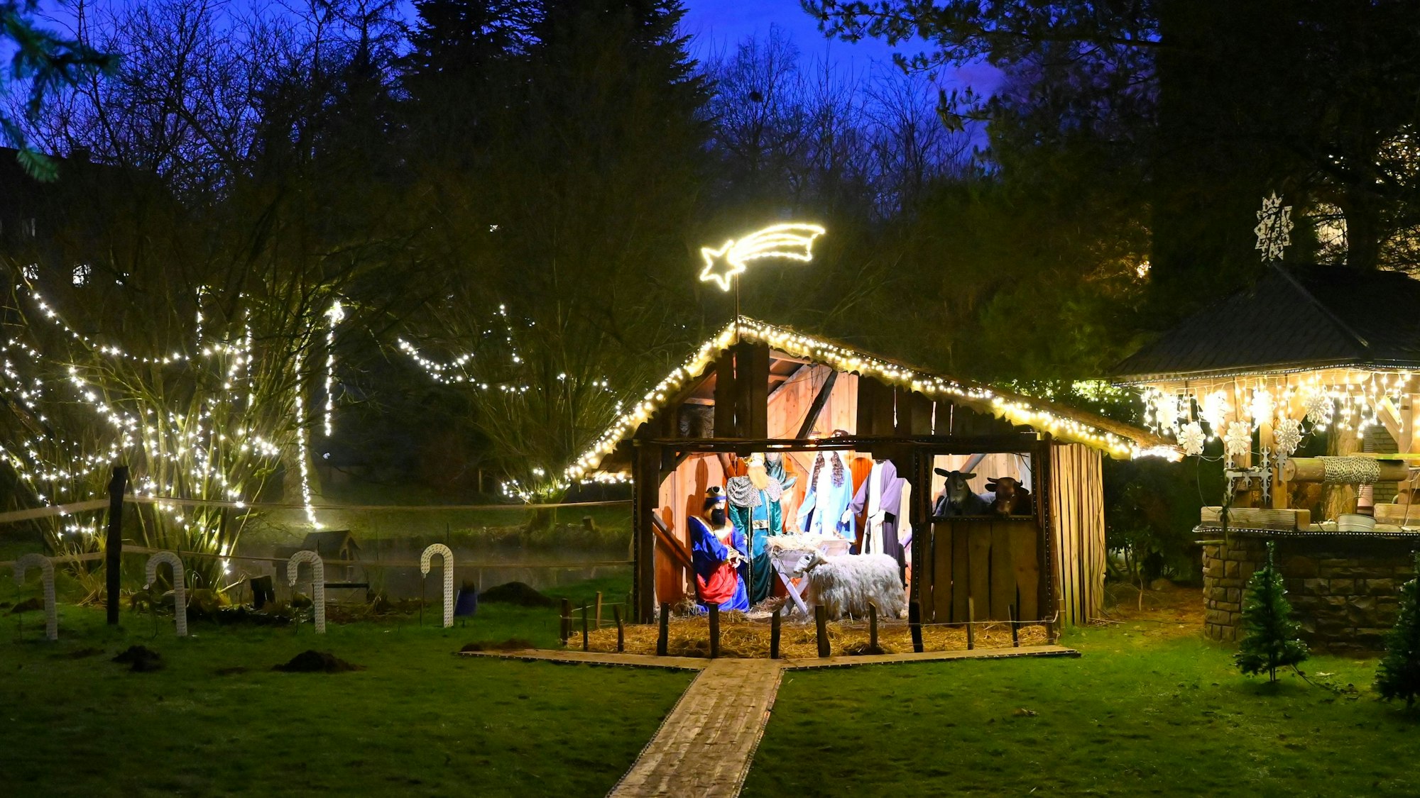 Eine lebensgroße Krippe steht in einem mit Lichterketten geschmückten Garten.