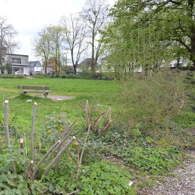 Das Foto zeigt den Park an der Wilhelm-Klein-Straße in Refrath