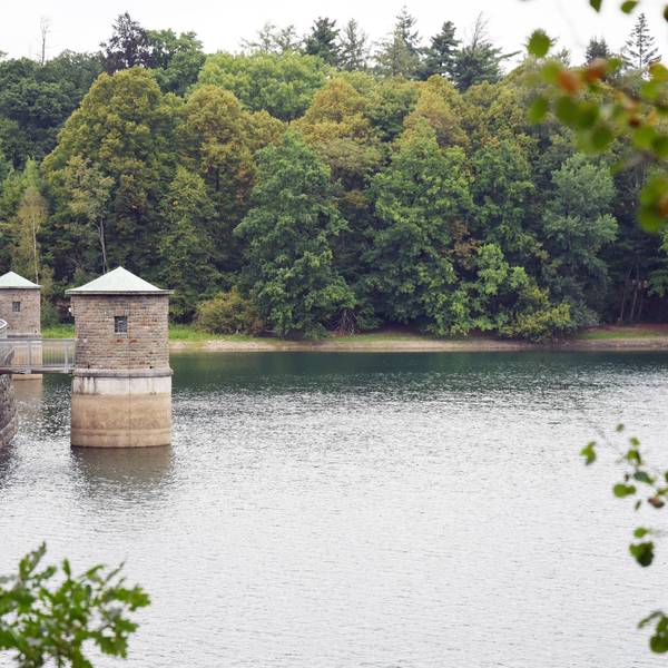 Ansicht der Staumauer der Neyetalsperre.