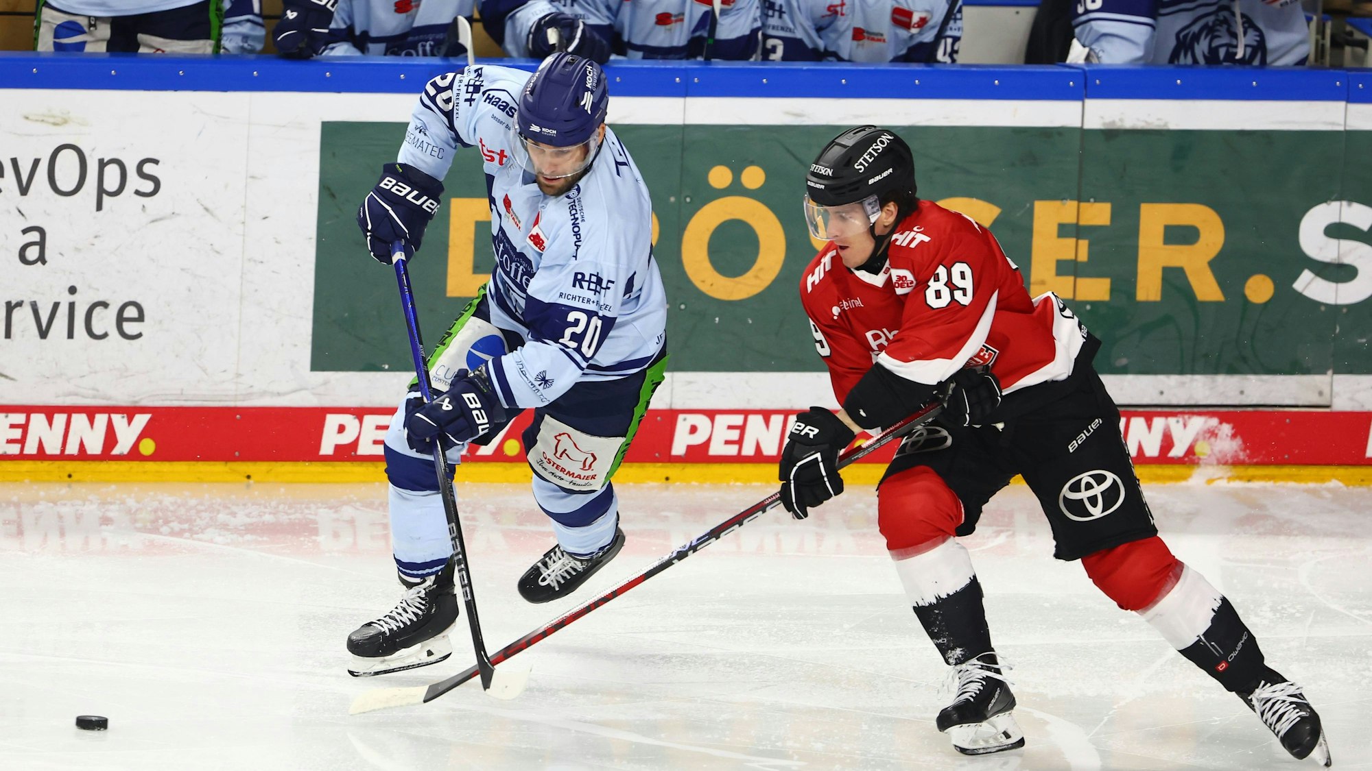 MacLeod während eines Spiels der Kölner Haie gegen Straubing.