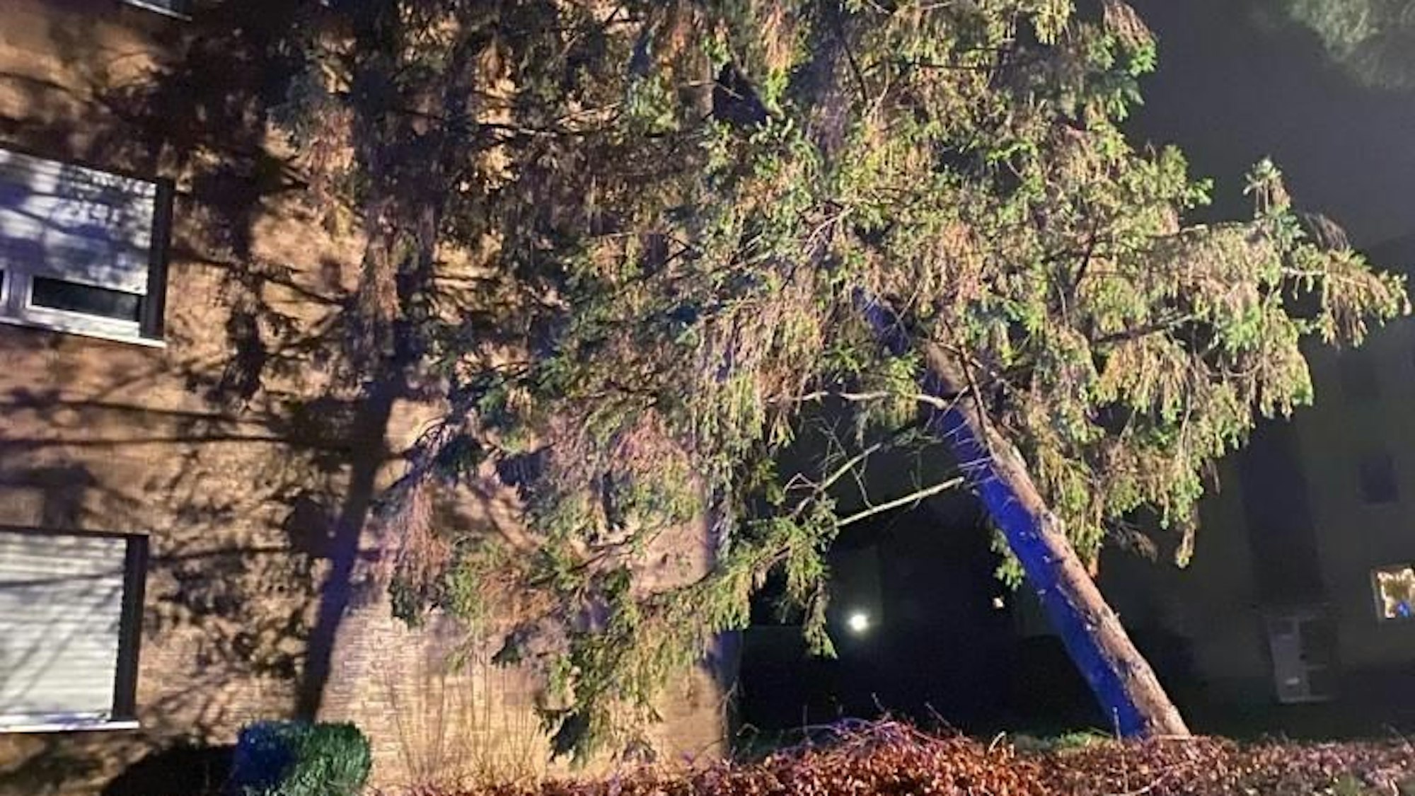 Zu sehen ist eine Tanne, die auf ein Wohnhaus gekippt ist.
