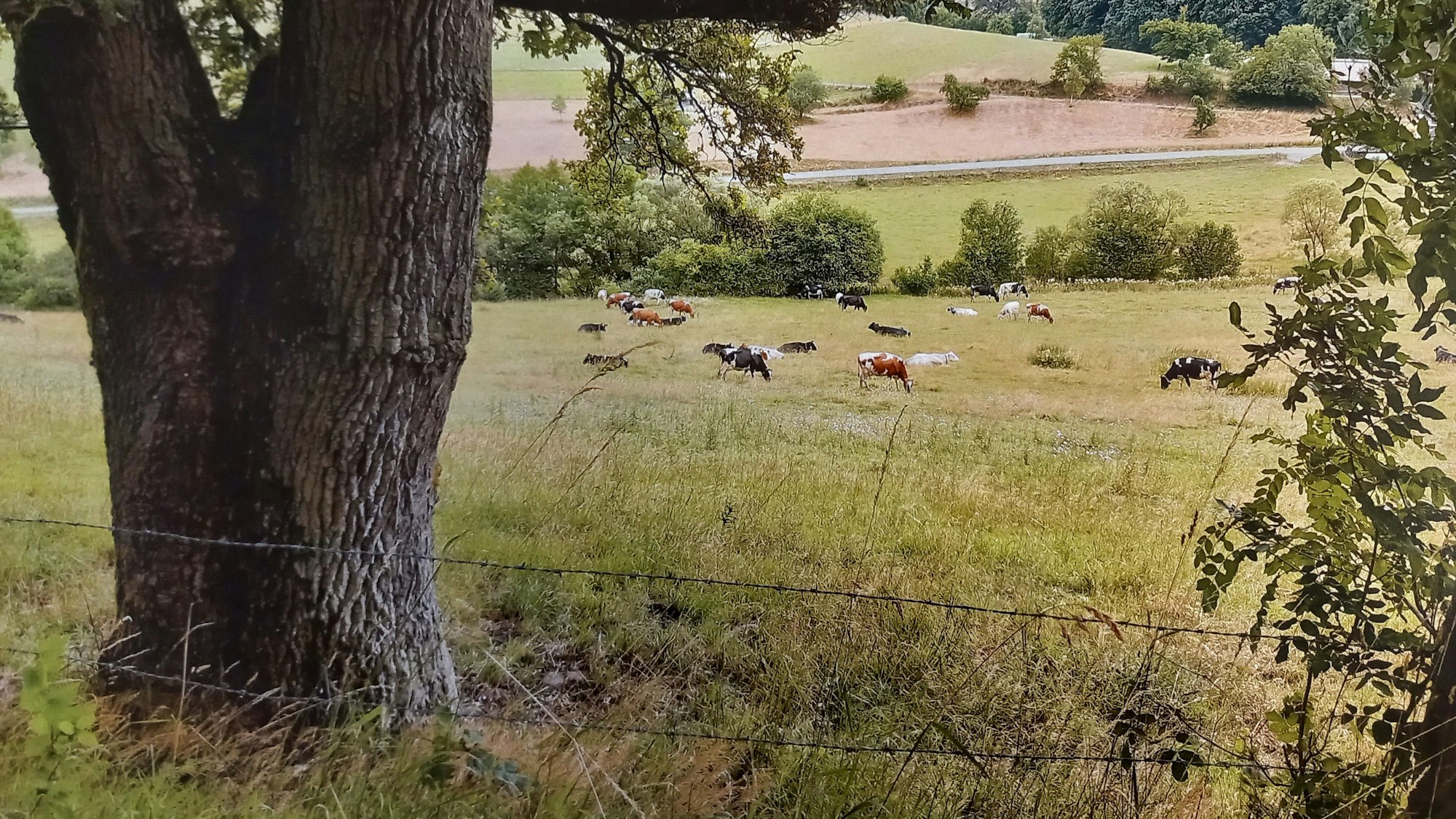 Blick auf eine Kalenderseite