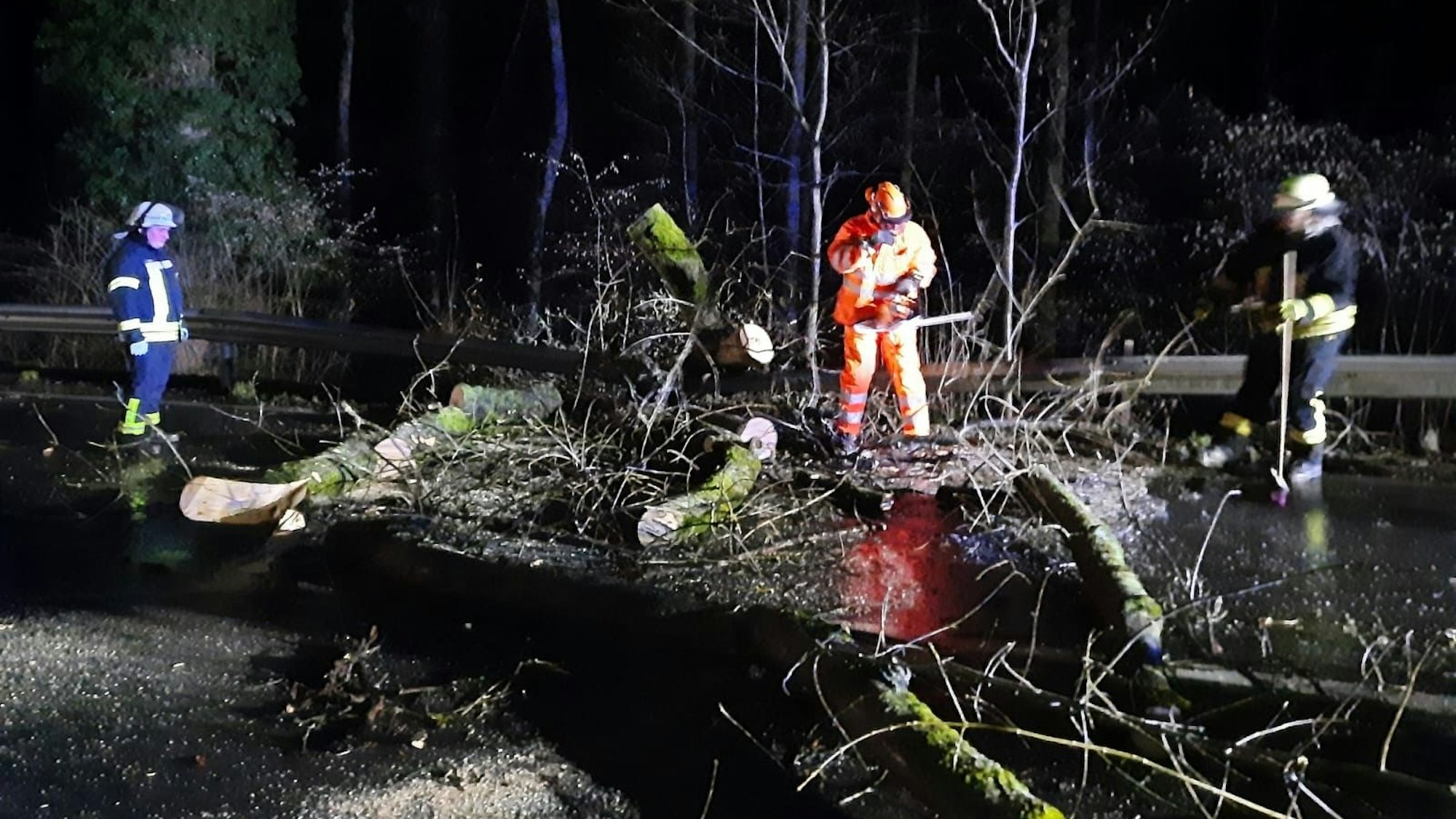 Zwischen Thomasberg und Oberdollendorf blockierte ein Baum die Straße.