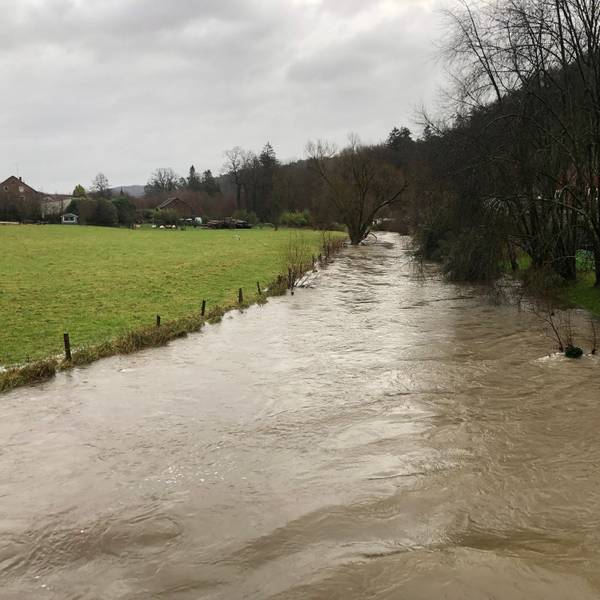 Die Gewässer in Rhein-Berg - wie hier die Sülz bei Untereschbach - sind fast überall über die Ufer getreten.