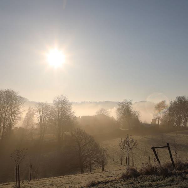 Sonne strahlt über eine raureifbedeckte Landschaft.