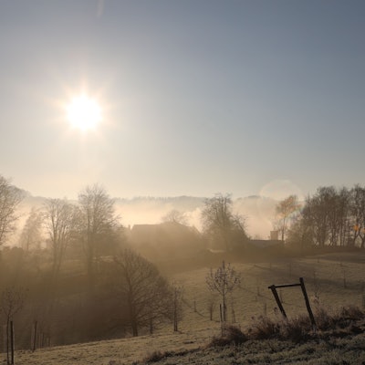 Sonne strahlt über eine raureifbedeckte Landschaft.