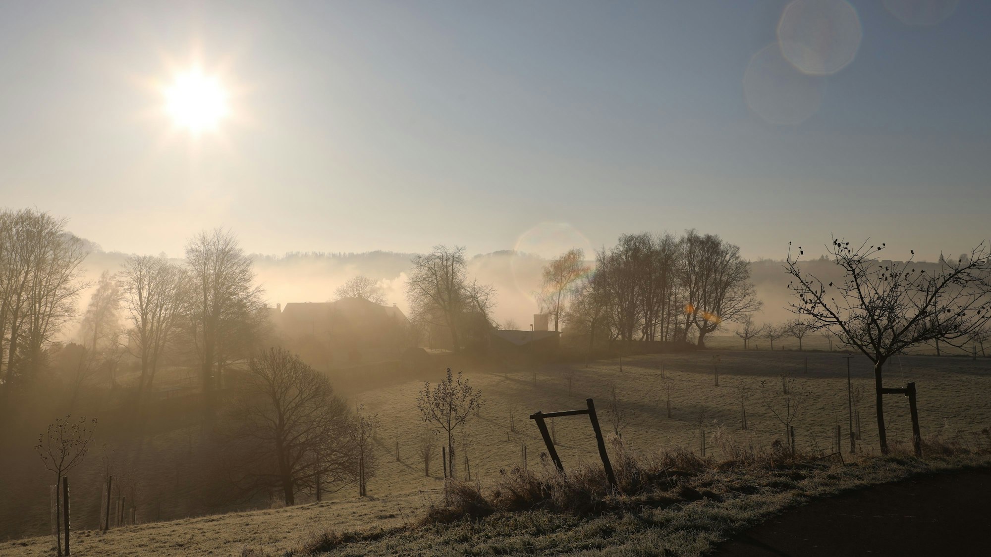Sonne strahlt über eine raureifbedeckte Landschaft.