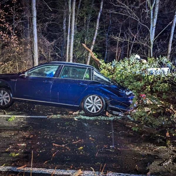 Ein umgestürzter Baum liegt auf dem Kofferraum eines blauen Autos auf der Scherfbachtalstraße in Odenthal.