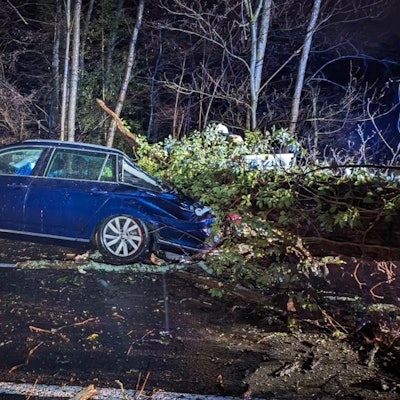 Ein umgestürzter Baum liegt auf dem Kofferraum eines blauen Autos auf der Scherfbachtalstraße in Odenthal.