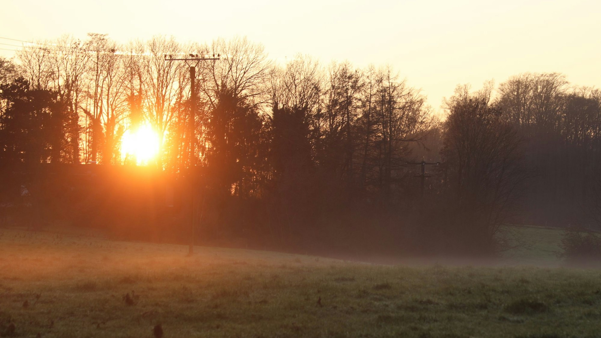 Durch eine Baumreihe scheint gelb-rot die Wintersonne.