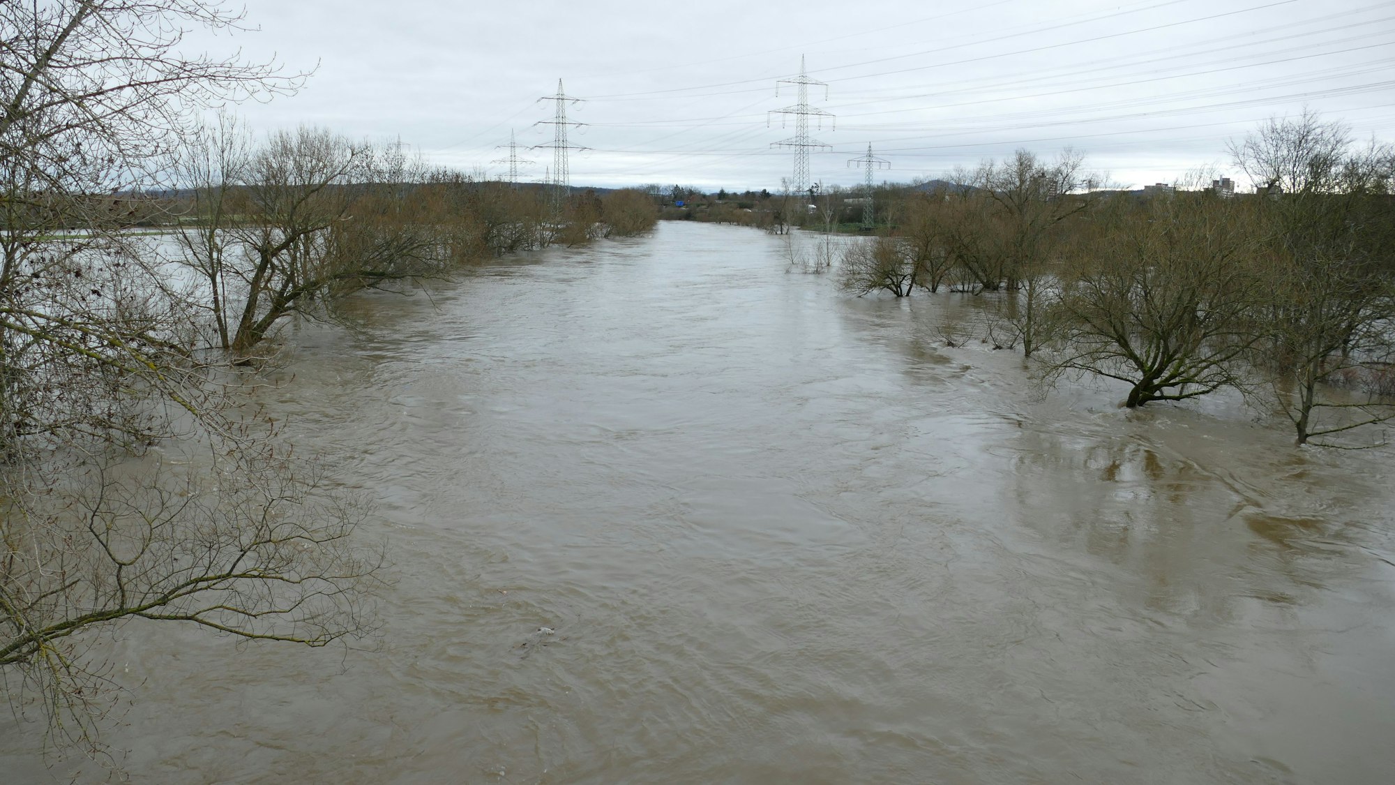 In Siegburg ist die Siegaue ein breiter Fluss, in dem Bäume stehen.