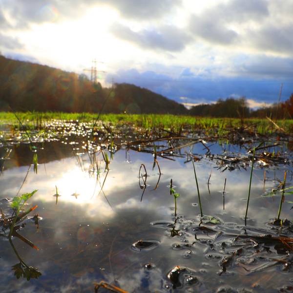 Über einem mit Wasser gefüllten Regenbecken bricht sich die Sonne mit ihren Strahlen durch dunkle Wolken.
