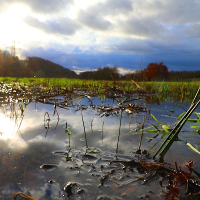 Über einem mit Wasser gefüllten Regenbecken bricht sich die Sonne mit ihren Strahlen durch dunkle Wolken.