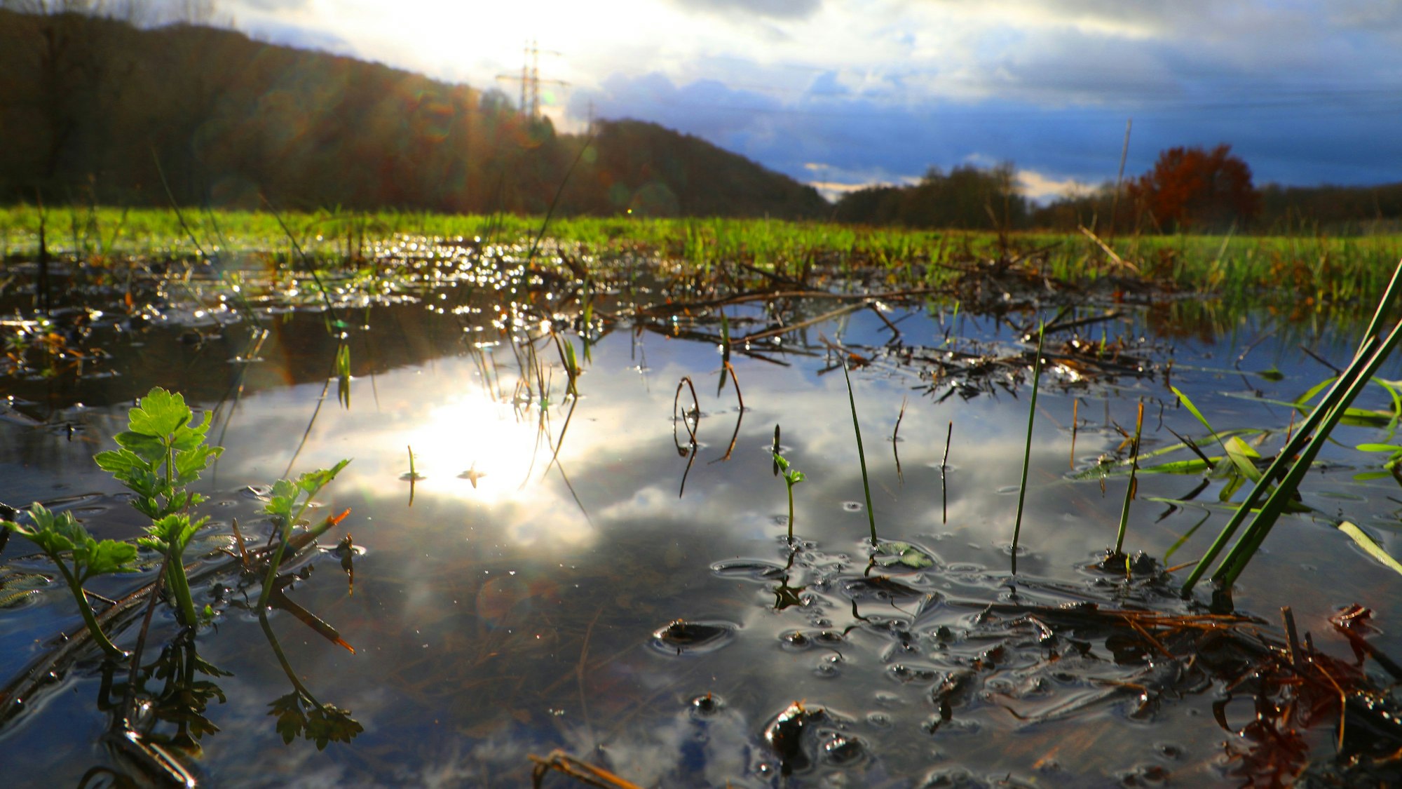 Über einem mit Wasser gefüllten Regenbecken bricht sich die Sonne mit ihren Strahlen durch dunkle Wolken.