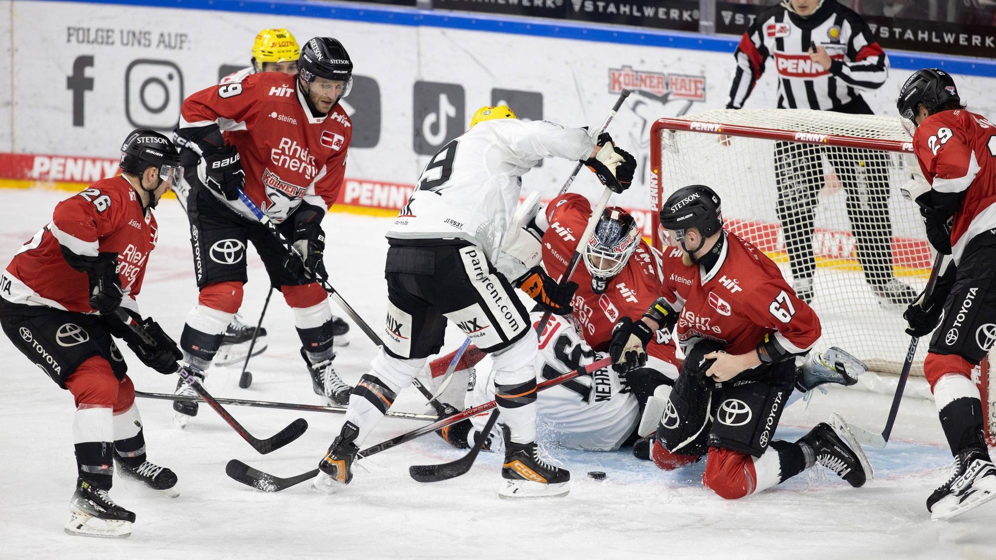 DEL: Kölner Haie - Löwen Frankfurt