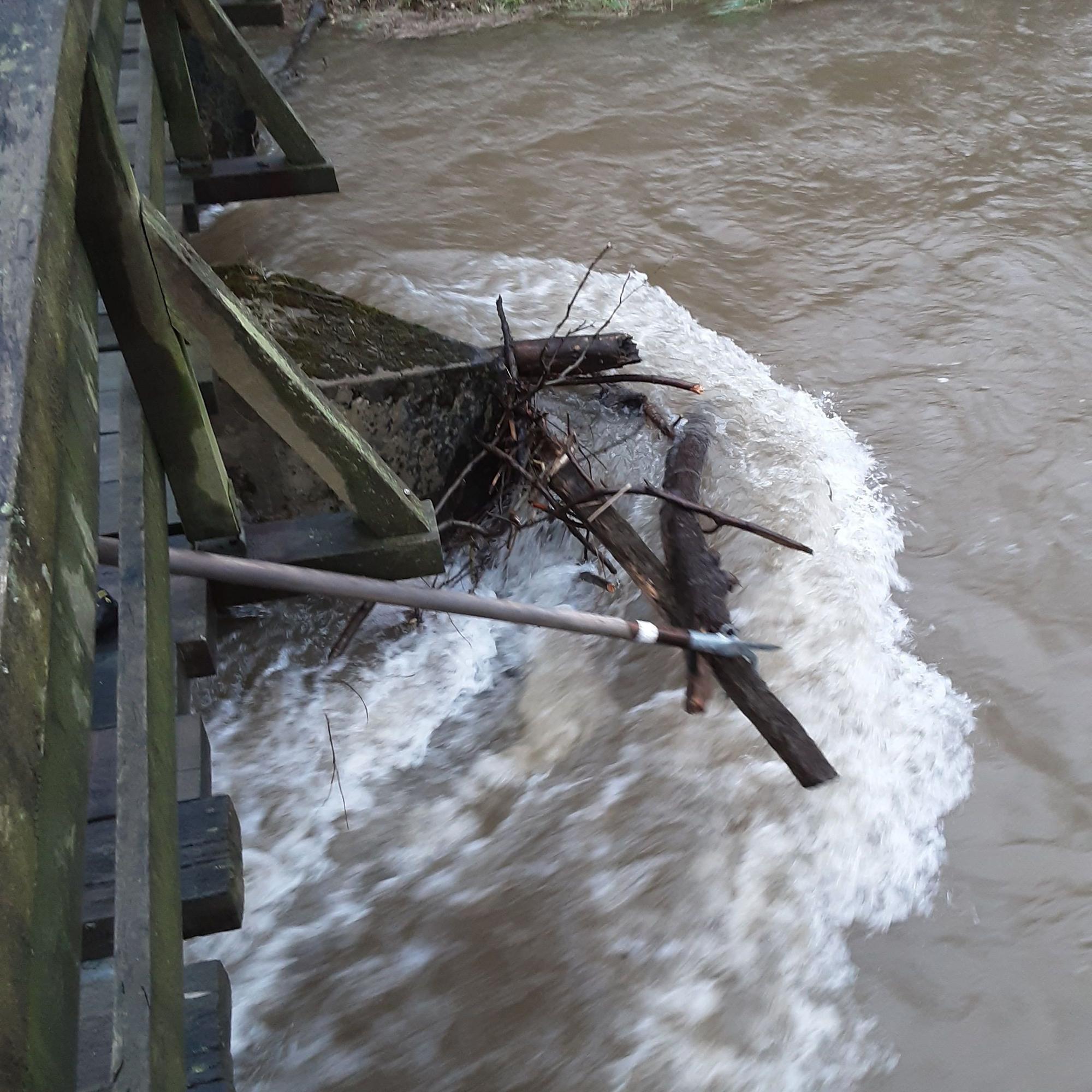 Mit einem Feuerwehrhaken zieht ein Feuerwehrmann Holz aus dem Wasser.