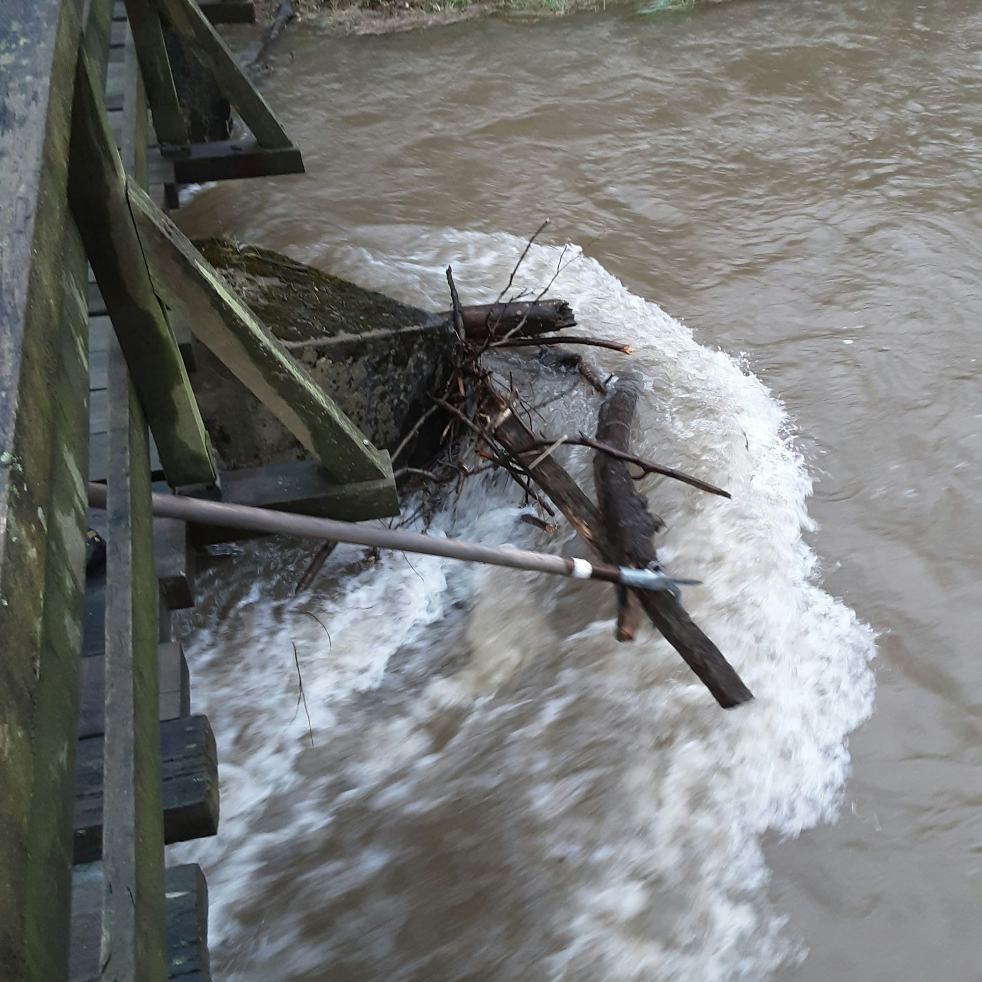 Mit einem Feuerwehrhaken zieht ein Feuerwehrmann Holz aus dem Wasser.