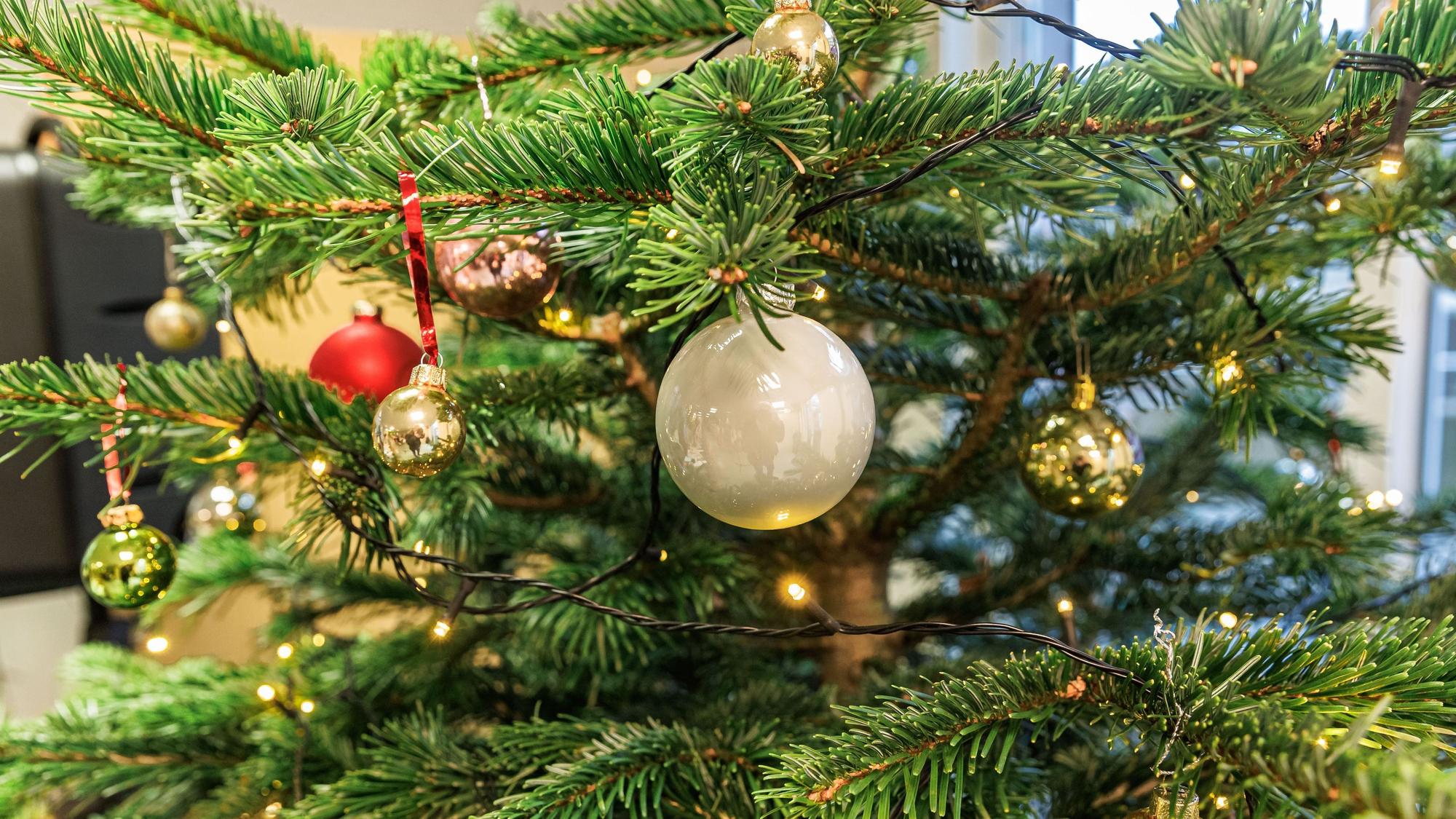 Das Bild zeigte einen geschmückten Weihnachtsbaum.