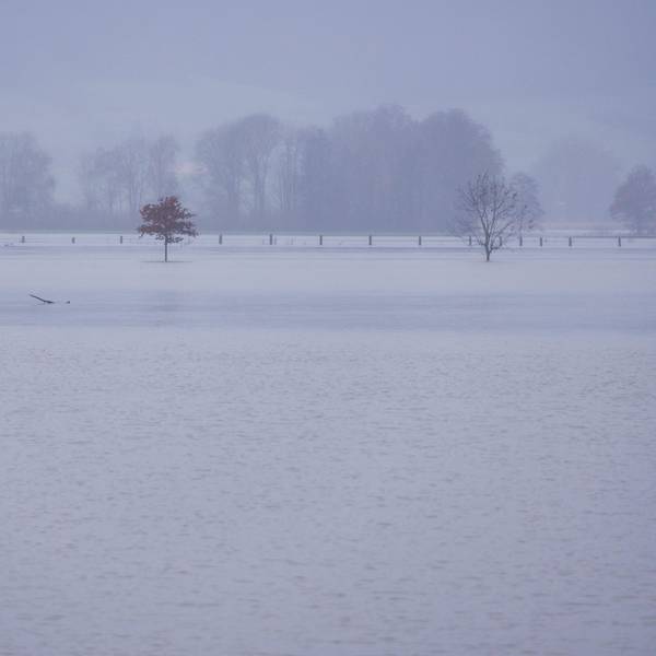 Die Weser hat Teile des Ortes Fuhlen in Niedersachsen überflutet. Der Pegel der Weser ist dort an mehreren Stellen auf mehr als sechs Meter gestiegen. Mehrere Orte haben die Vorstufe des Katastrophenalarms festgestellt.